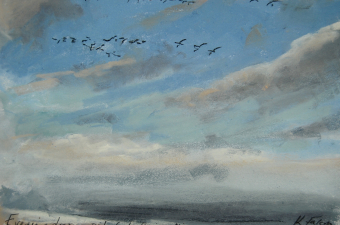 Evening drops, pink feet fly in calling