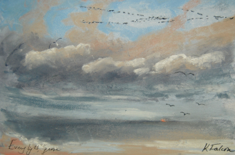 Evening light, geese